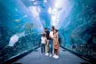 Peace Land Travel & Tourism: Dubai Miracle Garden + Aquarium Combo for One, Two, or Four Adults (Upto 12% Off) - Image 6