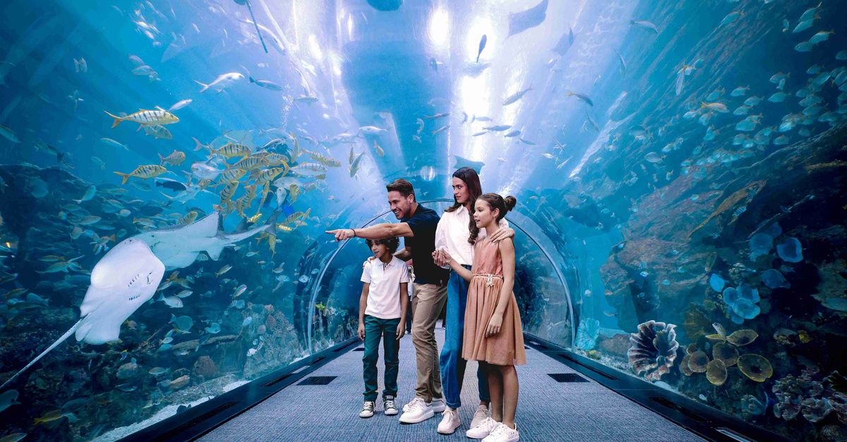 Nature & Ocean Wonders: Dubai Miracle Garden + Dubai Aquarium Combo Nature & Ocean Wonders: Dubai Miracle Garden + Dubai Aquarium Combo