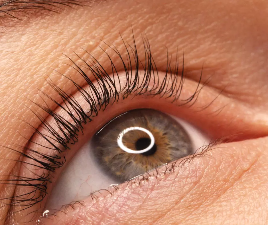 Elevate Your Look with Lash Lift 