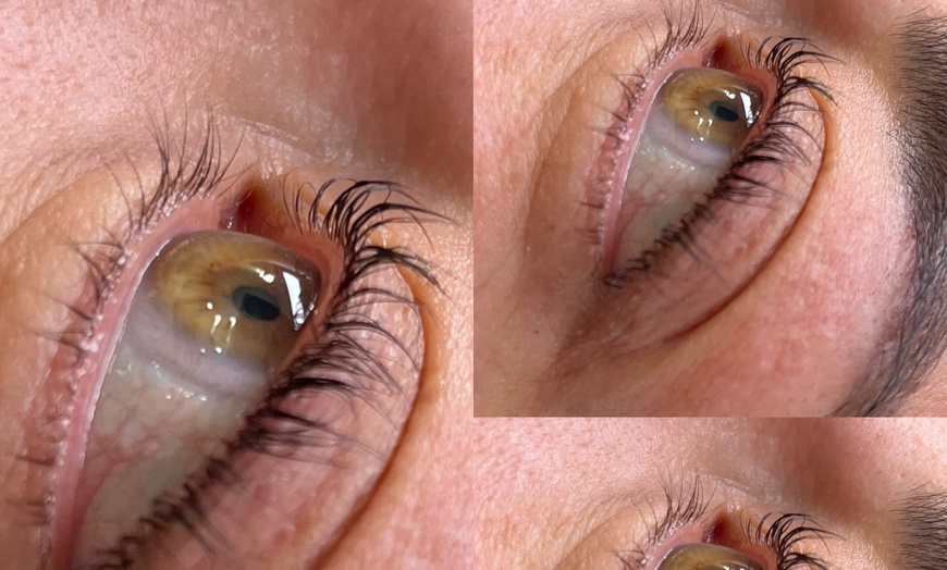 Image 8: Up to 55% Off on Eyelash Extensions at Silklashnbrow