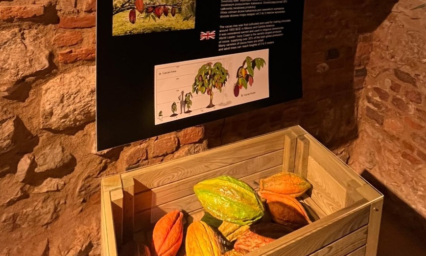 Image 3: Chwila pełna słodkich wrażeń: zwiedzanie muzeum czekolady z degustacją