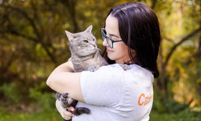 First Intro Meeting for Expert Cat Sitting