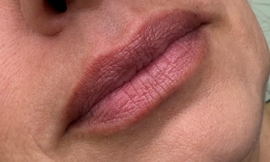 Image 4: Permanent Makeup for Brows and Lips