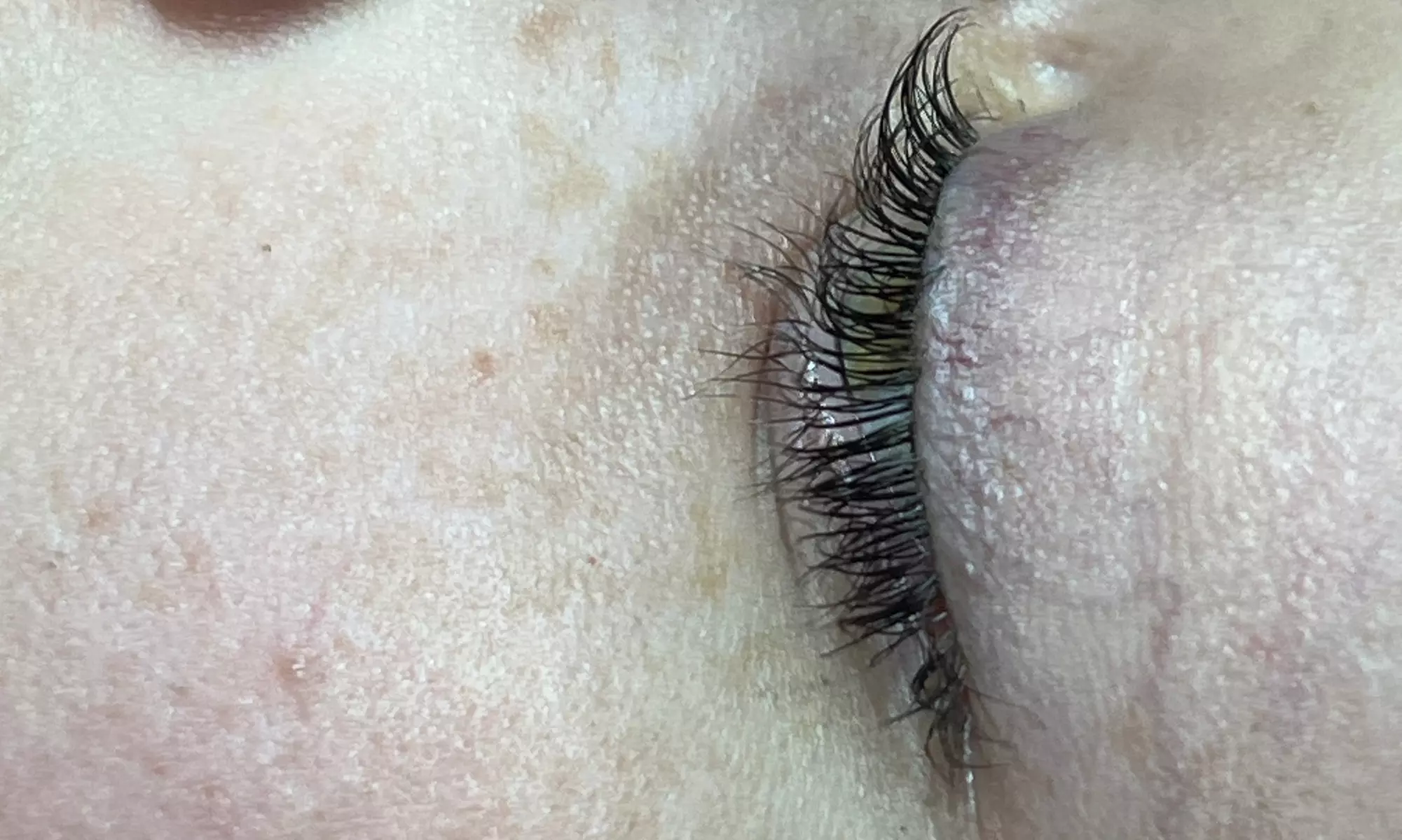 Transform Your Brows: Brow Lamination with Tint and Optional Waxing
