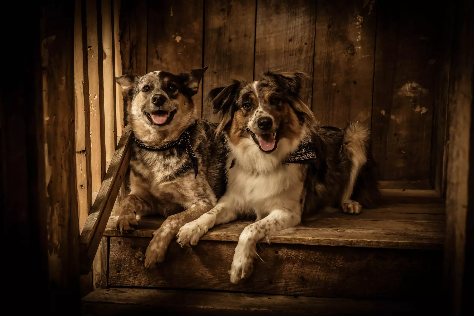 91% Off at Wild Gals Old Time Photo