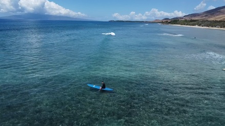 For Four: 90-Minute Private Surf Lesson - Maui Surf and Sup
