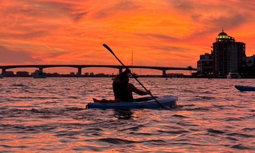 Image 7: Enjoy Sunset or Sunrise Kayaking Tours in Tampa Bay Area