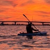 Image 7: Enjoy Sunset or Sunrise Kayaking Tours in Tampa Bay Area