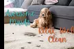 Awesome Maids: 3–5 Hour House Cleaning (Up to 35% Off) - Second Medium