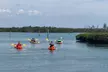 Discover Siesta Key's Mangroves on a Kayak or Paddleboard with Murphs Surf, offering Rentals (Up to 20% Off) - Second Medium