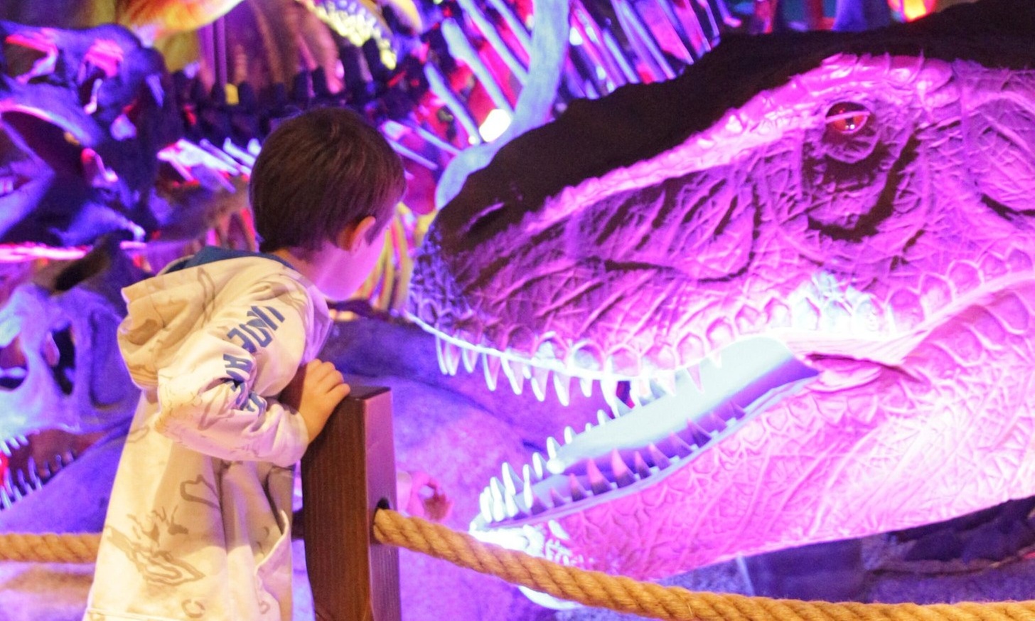 Interactive Premier Dinosaur Exhibit - Pangaea Land of the Dinosaurs