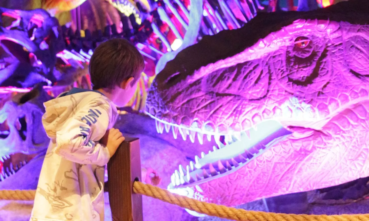 Interactive Premier Dinosaur Exhibit - Pangaea Land of the Dinosaurs