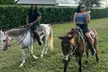 Jet Skiing and Horseback Riding — Enjoy Two in One Fun Package - Second Medium