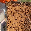 Image 9: Enjoy Hive Tour, Farm Immersion, and Vineyard Walk