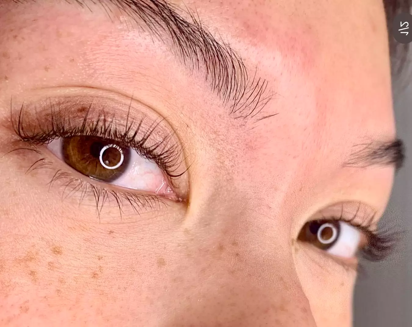 Elevate your Look with Brow and Lash Services! 