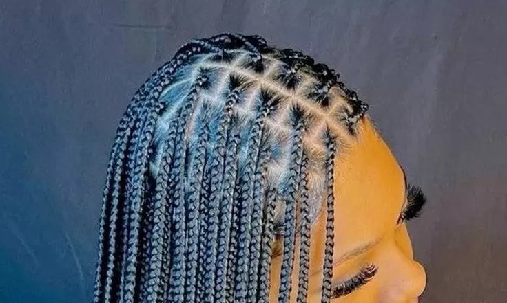 Get Stunning Ladies Box Braids / Knotless Braids or Fulani Braids