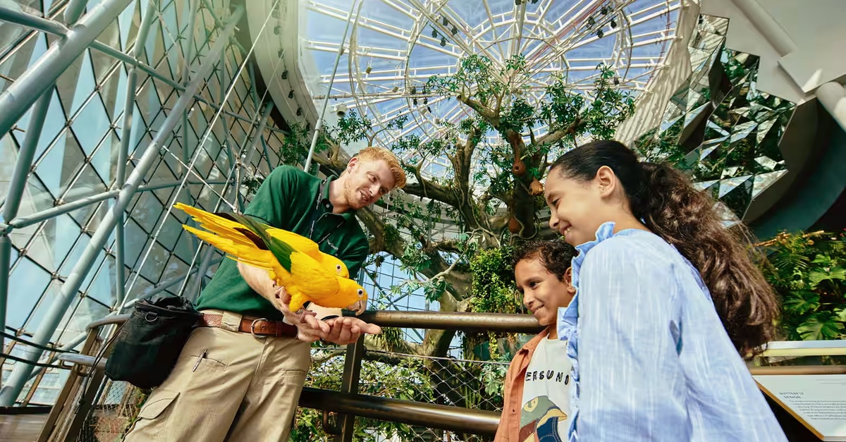 Double The Fun: Dubai Aquarium W Penguin Cove + Choice Of Attraction Double The Fun: Dubai Aquarium W Penguin Cove + Choice Of Attraction