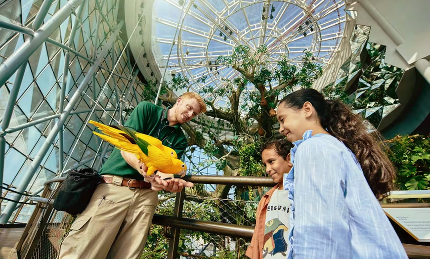 Image 9: Double the Fun: Dubai Aquarium w/ Penguin Cove + Choice of Attraction