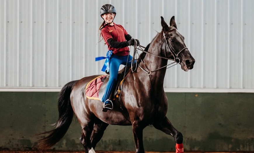 Image 3: Horseback Riding Lessons for Solo Riders, Families and Groups