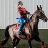 Image 3: Horseback Riding Lessons for Solo Riders, Families and Groups