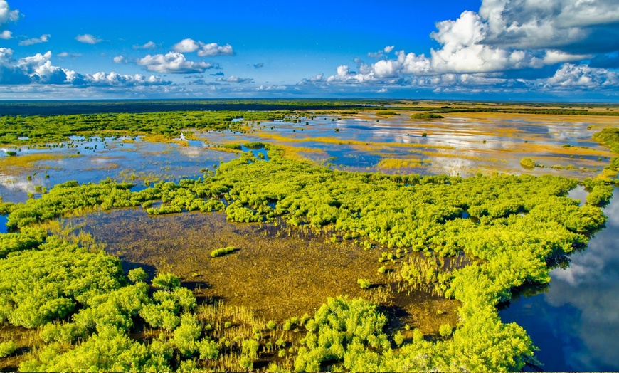 Image 2: Everglades Airboat Ride & Alligator Show with Miami Transportation