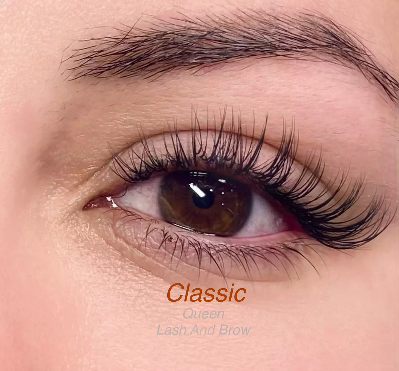Classic, Hybrid, Volume or Wet Look Extensions or Lash Lift and Tint