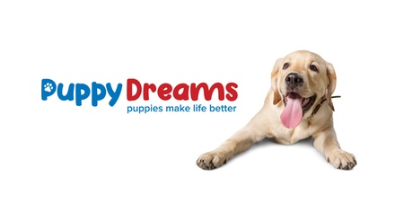 $50 Towards Pet Store Goods - Puppy Dreams