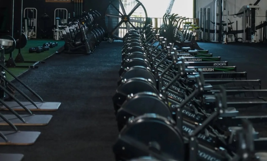 Image 5: High-Intensity Workouts in Doral