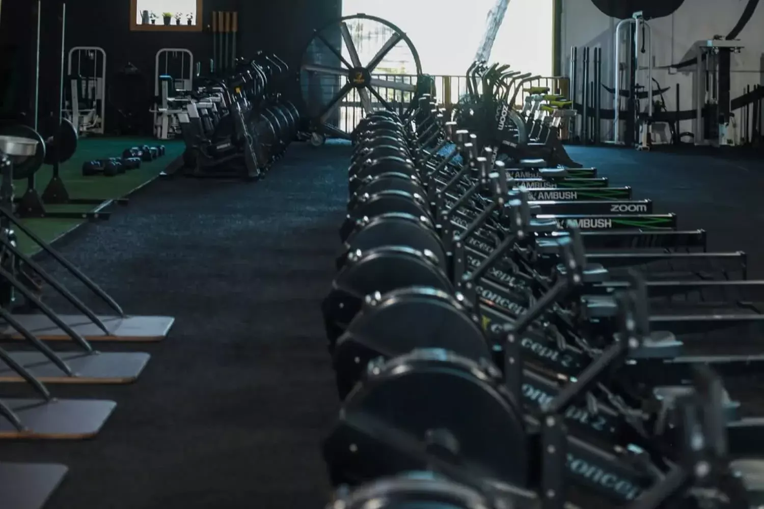 1 or 2 Months of Unlimited Fitness Classes