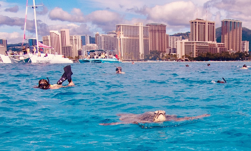 Image 10: Up to 40% Off Turtle Canyon Snorkel Sail – Waikiki Adventure