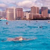 Image 10: Up to 40% Off Turtle Canyon Snorkel Sail – Waikiki Adventure