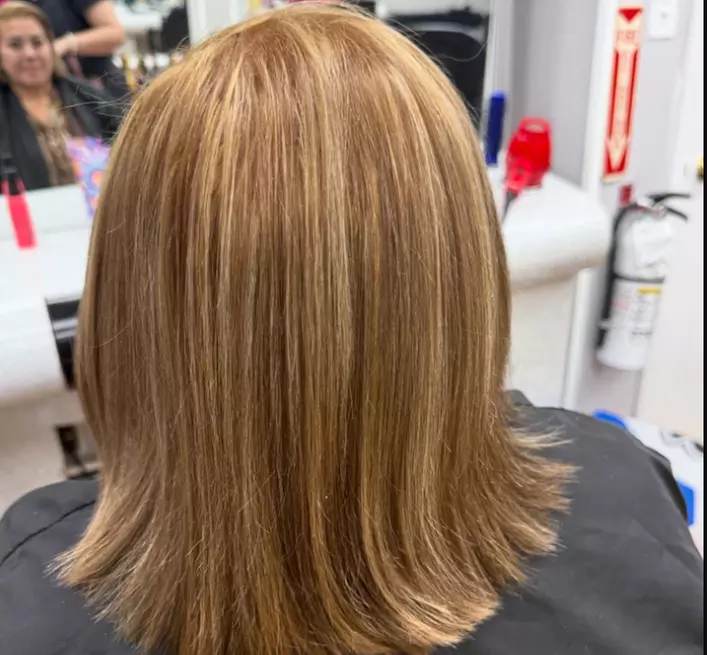 Balayage, Partial, or Full Highlights with Conditioning & Blowdry