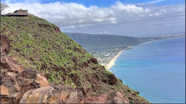 What to expect media