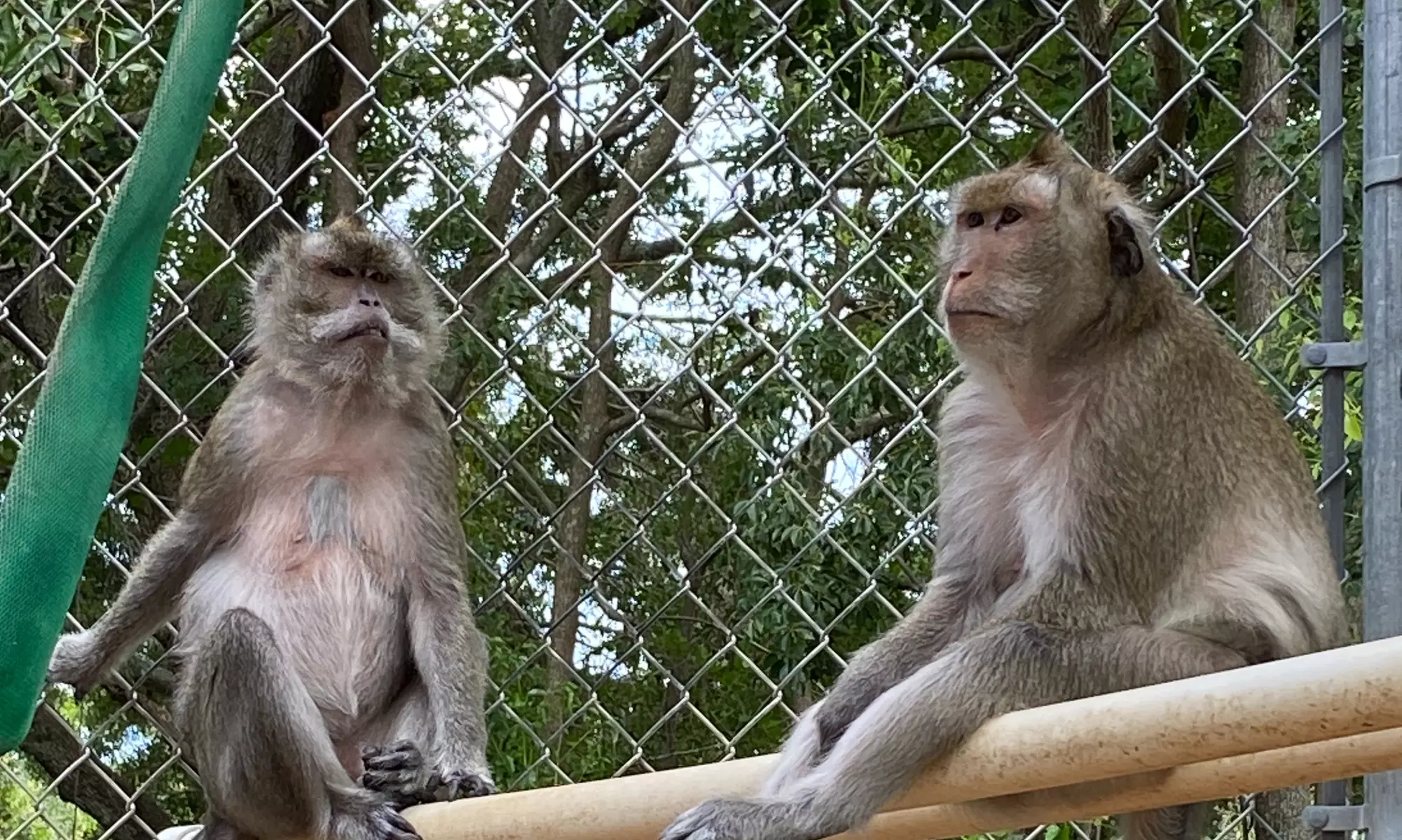 Explore a Fascinating World with Admission for Adults and Children!