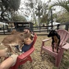 Image 4: Experience Day Pass at DK Farms and Garden in Pinellas Park
