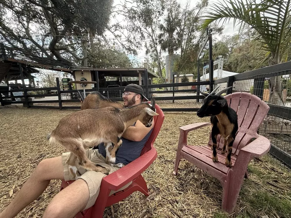 Pinellas Medieval Faire: Live Entertainment & Animal Encounters