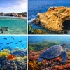 Image 1: Explore One Full-Day Snorkel Rental with Choice of Wetsuit for 1 or 2 