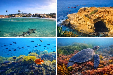 One Full-Day Snorkel Rental for One - La Jolla Outpost