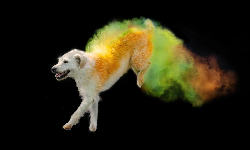 Image 4: 30 Min. Holi-Fotoshooting inkl. 3 - 5 Bilder