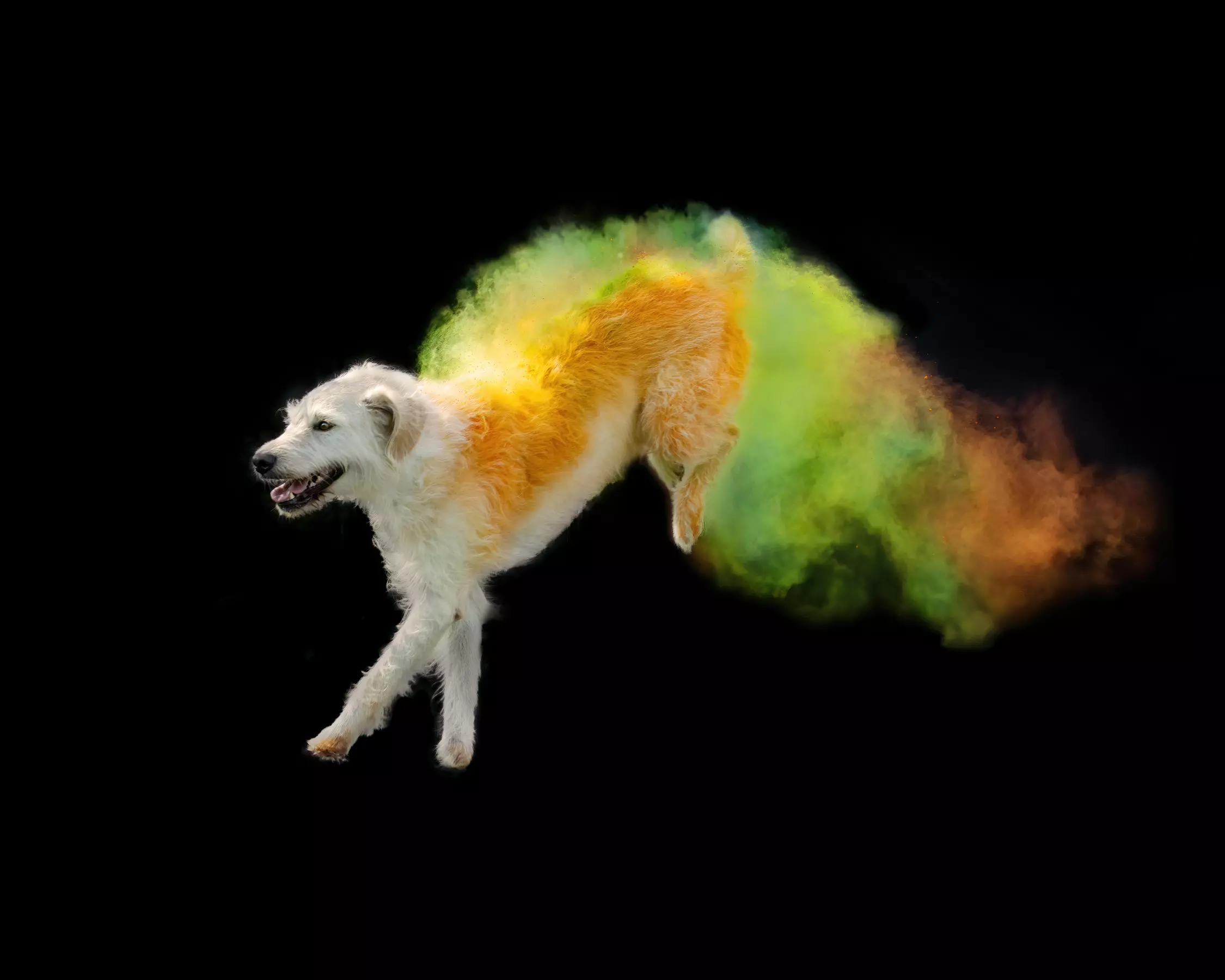 30 Min. Holi-Fotoshooting inkl. 3 - 5 Bilder