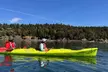 Discover Nature with Three-Hour Point Doughty Kayak Tour at Orcas Wild (Up to 24% Off) - Second Medium