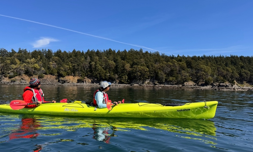 Image 4: Discover Nature with Three-Hour Point Doughty Kayak Tour at Orcas Wild (Up to 24% Off)