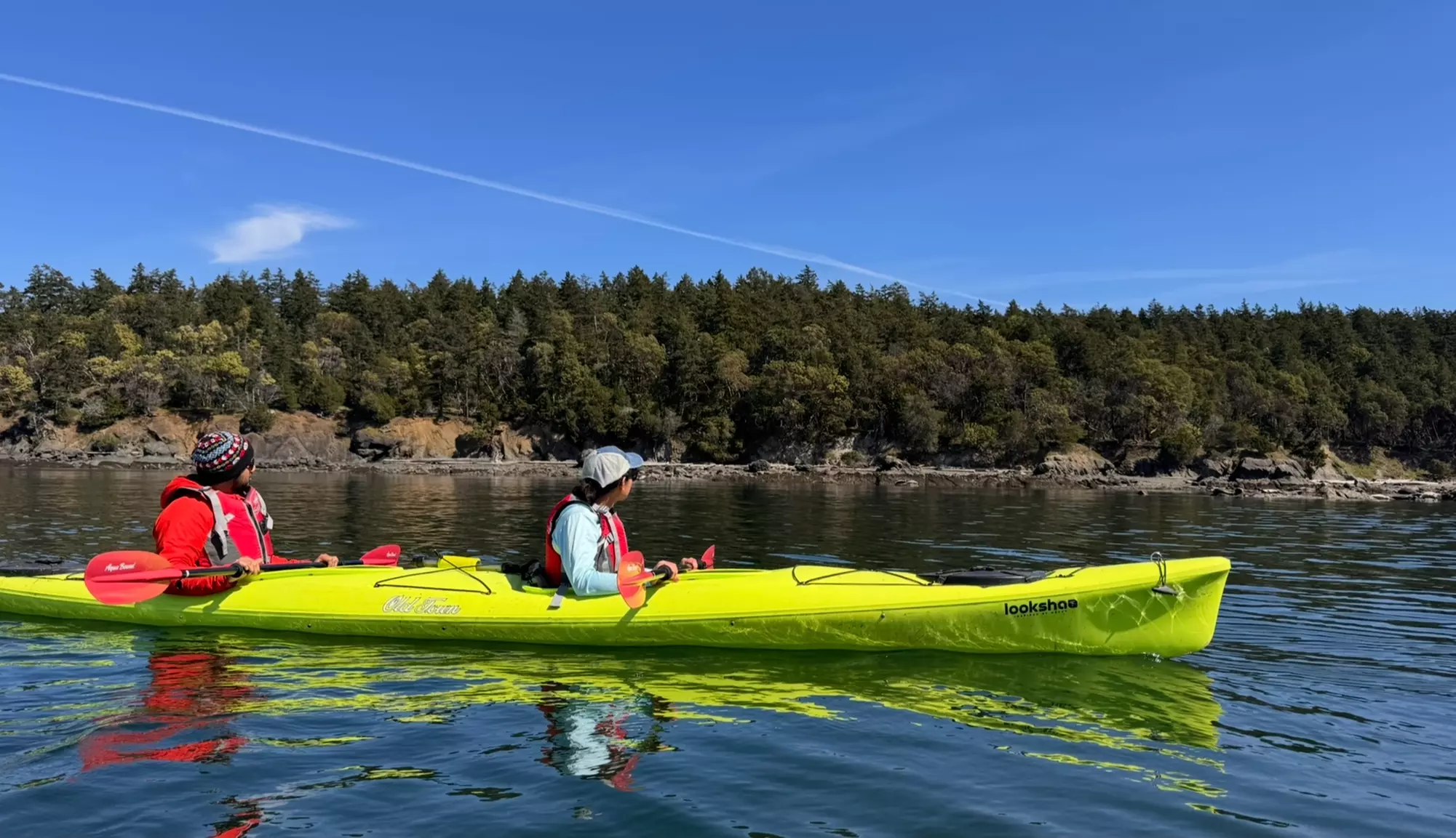 Explore with Orcas Wild: Three-hour Point Doughty Kayak Tour
