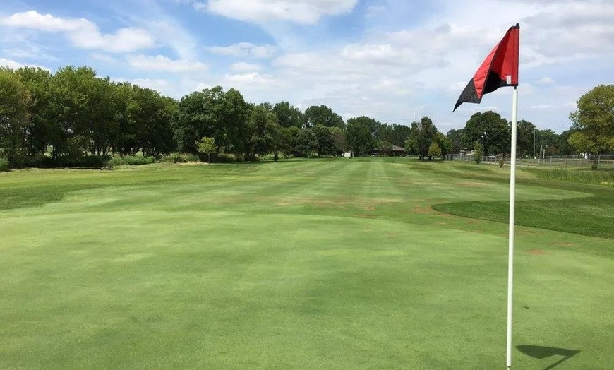 Image 7: 9-Hole Par-3 Golf with Cart – Minneapolis Metro