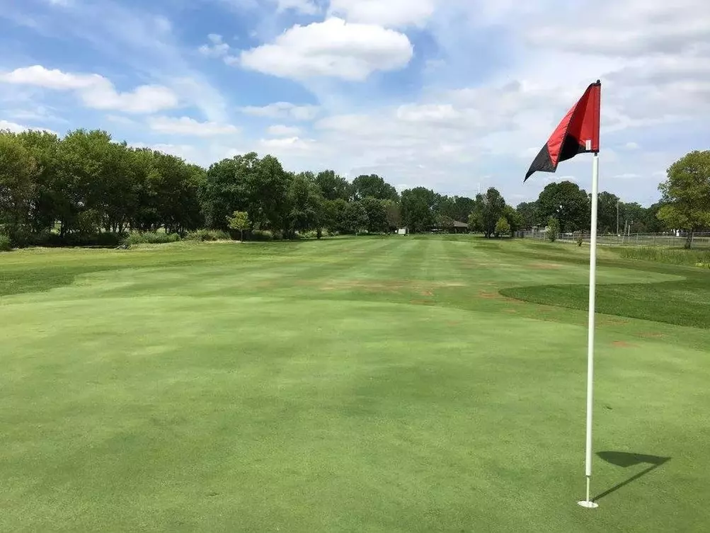 9-Hole Par-3 Golf with Cart – Minneapolis Metro