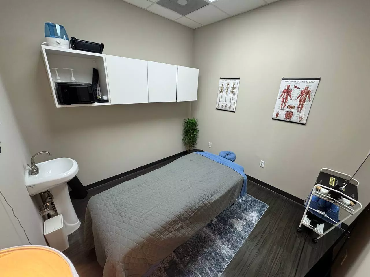 Enjoy Swedish or Deep Tissue Massage 60, 90, or 120-min