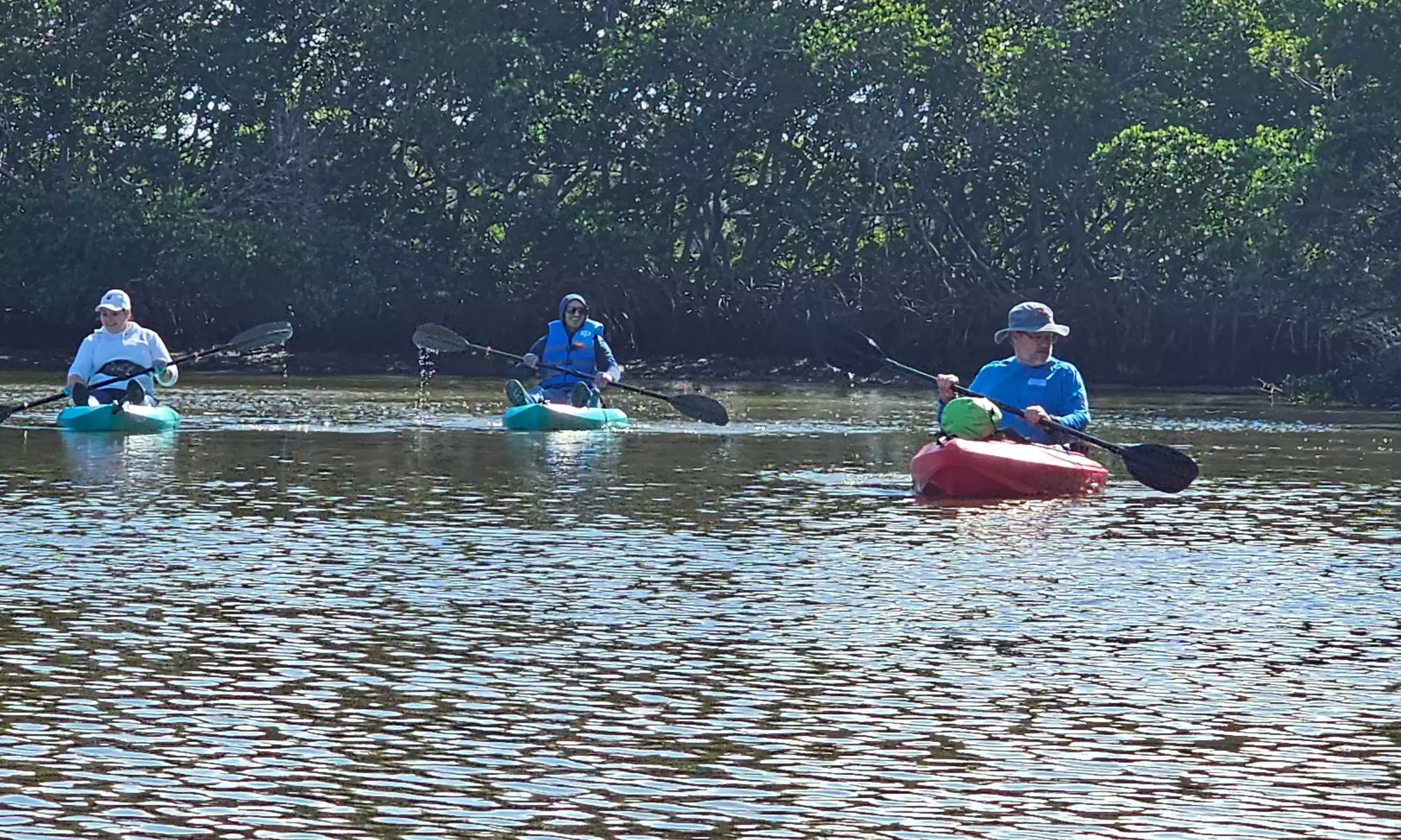 2-Hour Eco Kayak Tours for Solo Explorers, Couples & Groups