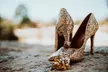 Up to 40% Off on 4/ 6 & 8-Hour Wedding Day Photography Packages at Velvet Moon Photography by Reverie Studios Tx - Second Medium