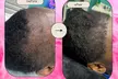 Up to 68% Off on Hair Restoration - Non-Surgical at Aesthetics Care Med Spa - Second Medium