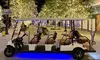 Experience Holiday Magic: Deluxe Golf Cart Tour Through Tampa's Best Christmas Lights & Historic Districts